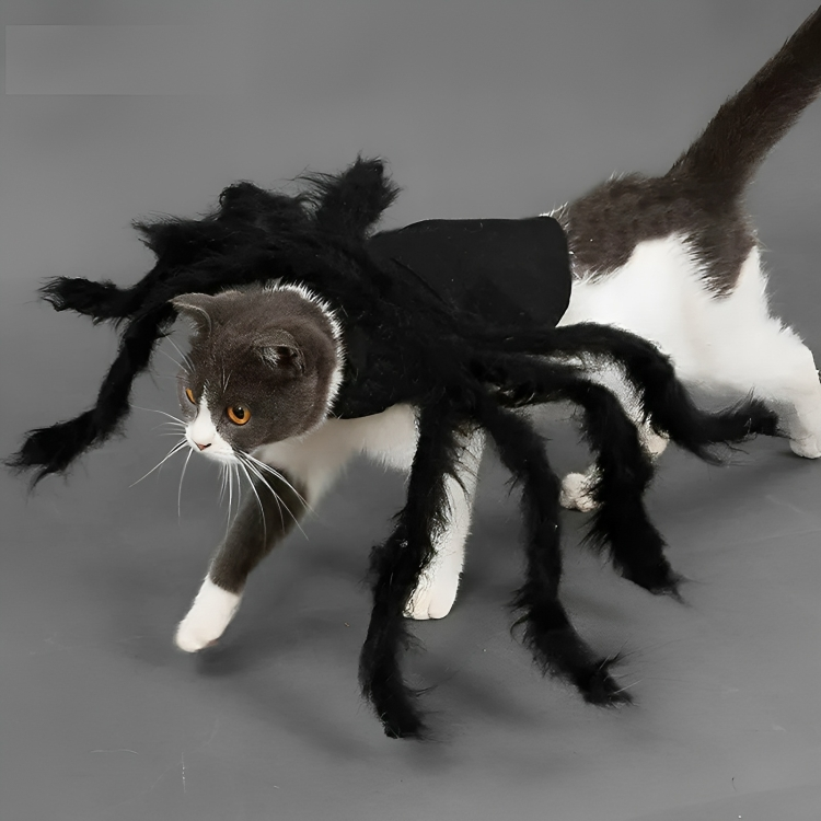 Disfraz de araña para gato