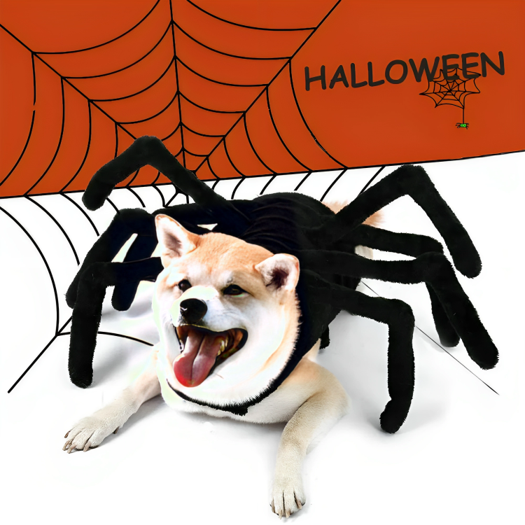 Disfraz de araña para perro