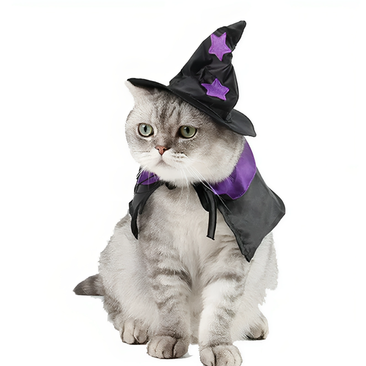Disfraz de bruja para gato