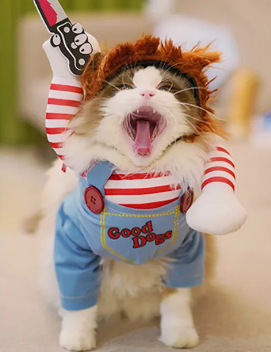 Disfraz de Chucky para gatos