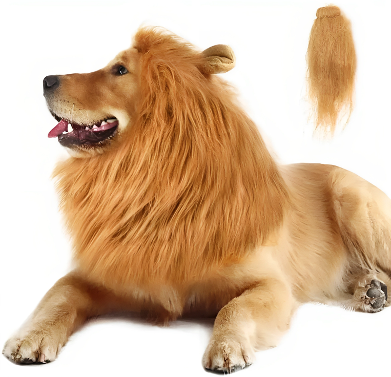 Disfraz de leon para perro