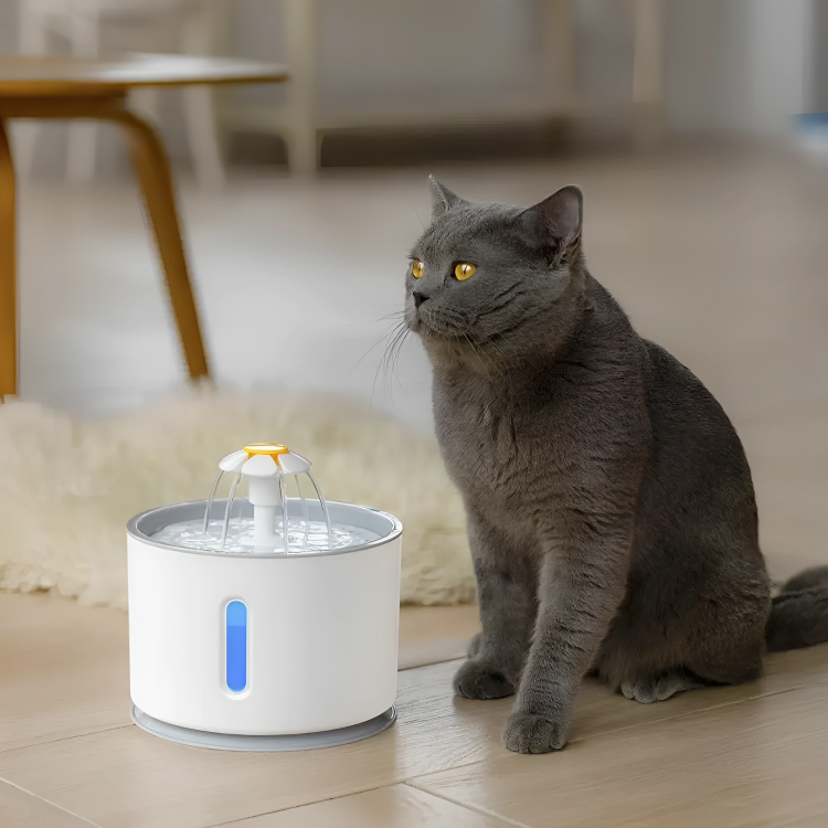 dispenser de agua para gatos y perros