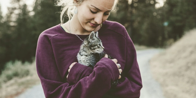Los Gatos y la Depresión: Compañeros afectivos que pueden ayudar a aliviar los síntomas